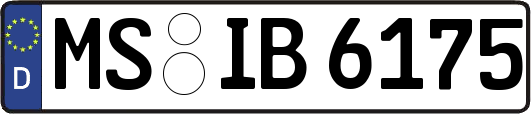 MS-IB6175