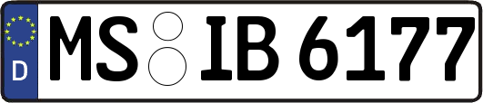 MS-IB6177