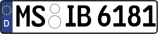 MS-IB6181
