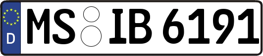MS-IB6191