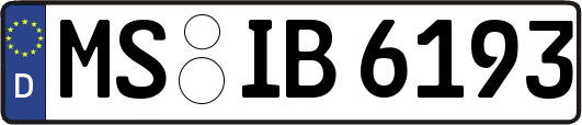 MS-IB6193