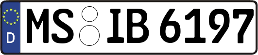 MS-IB6197