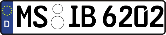 MS-IB6202