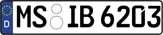 MS-IB6203