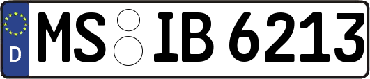 MS-IB6213