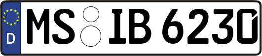 MS-IB6230