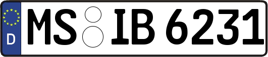 MS-IB6231