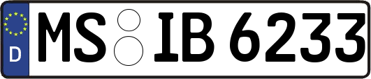 MS-IB6233