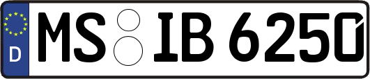 MS-IB6250