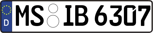 MS-IB6307