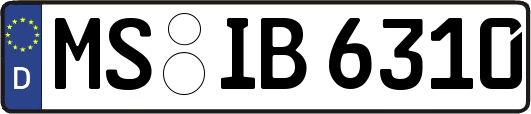 MS-IB6310