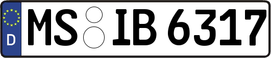 MS-IB6317