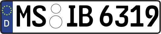 MS-IB6319