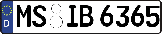 MS-IB6365
