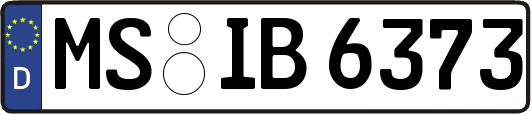 MS-IB6373