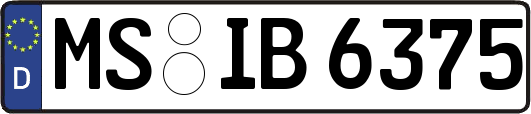 MS-IB6375