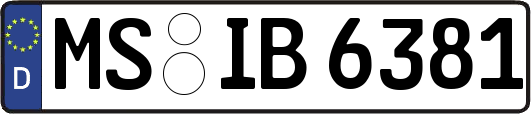 MS-IB6381