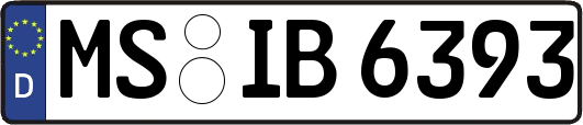 MS-IB6393