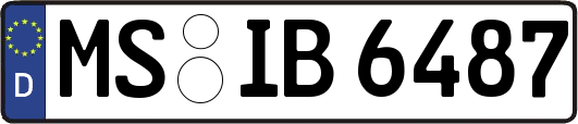 MS-IB6487
