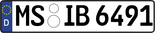 MS-IB6491