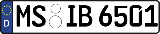 MS-IB6501