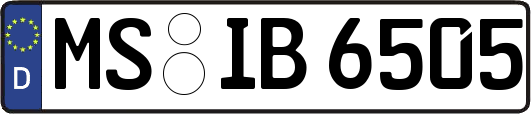 MS-IB6505