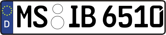 MS-IB6510