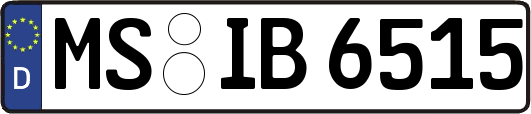 MS-IB6515