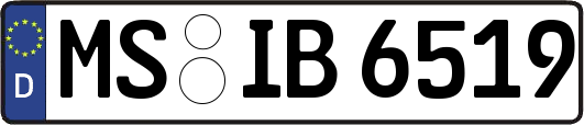 MS-IB6519