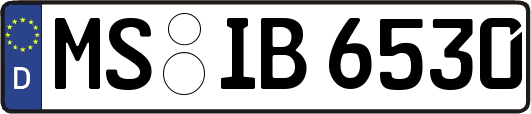 MS-IB6530