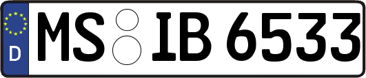 MS-IB6533