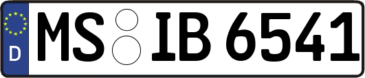 MS-IB6541