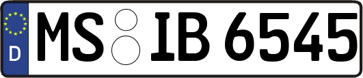 MS-IB6545