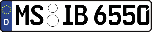 MS-IB6550