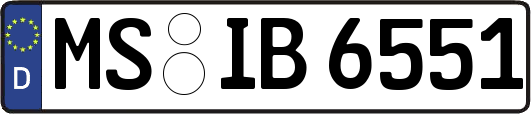 MS-IB6551