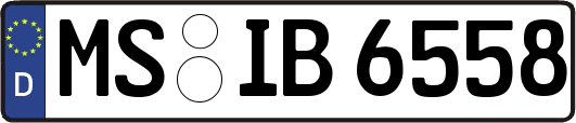 MS-IB6558