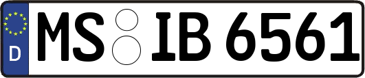 MS-IB6561