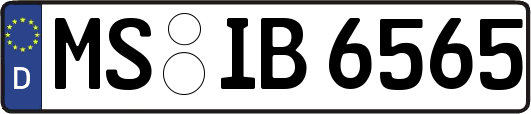 MS-IB6565