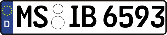 MS-IB6593