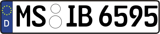 MS-IB6595