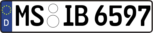 MS-IB6597