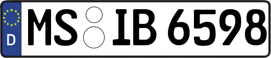 MS-IB6598