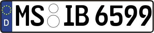 MS-IB6599