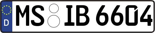 MS-IB6604