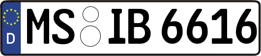 MS-IB6616