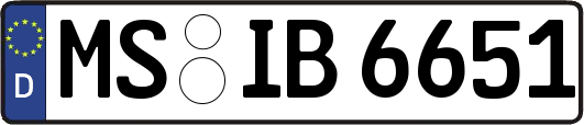 MS-IB6651