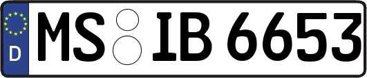 MS-IB6653