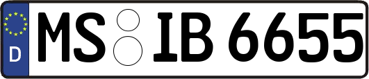 MS-IB6655