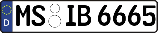 MS-IB6665
