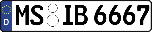 MS-IB6667